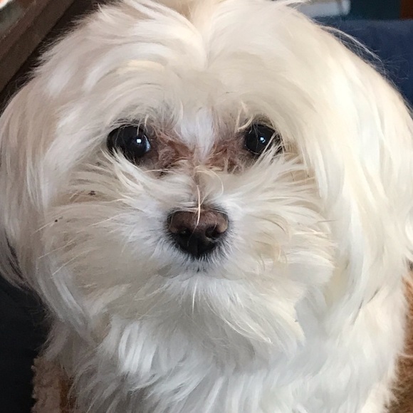 Meet your Posher, Deborah - Picture 1 of 1